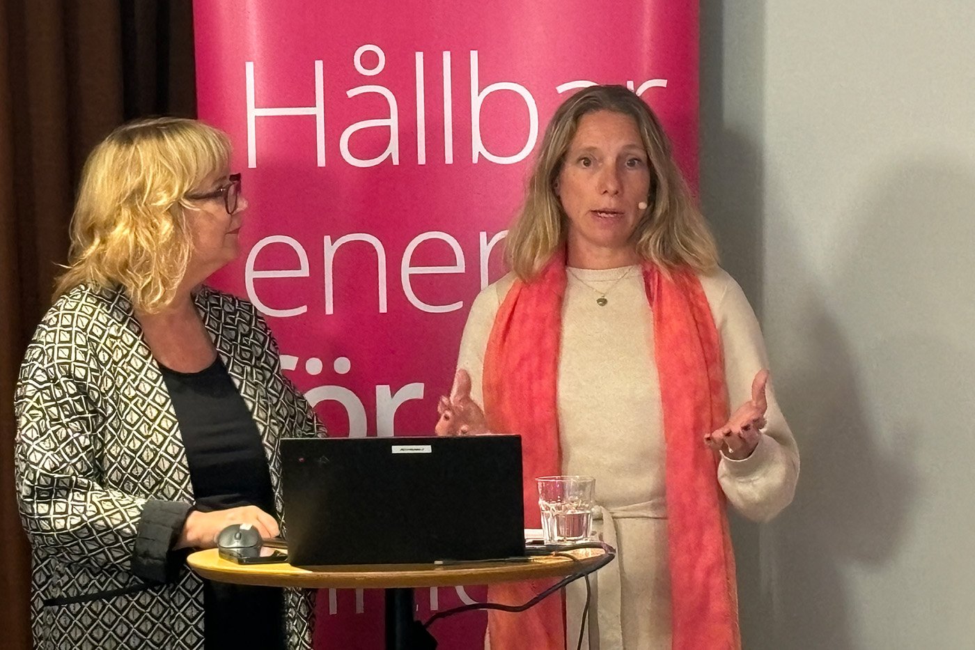 Sara Emanuelsson, enhetschef politik och samhälle, och vd Åsa Pettersson under Energiföretagens webbinarium. 