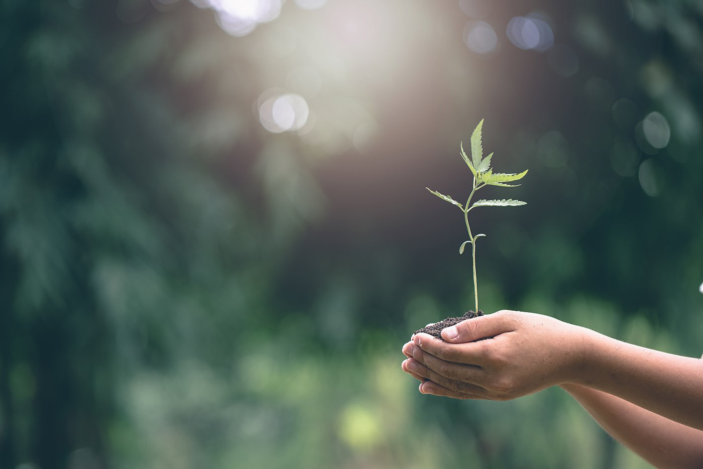 Foto: Istock.