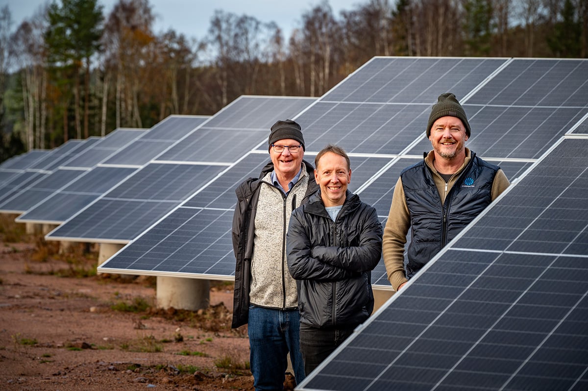 Carpenters ledningsgrupp, fr v: Jonas Merkel, Tony Lind och Roger Siljeholm, vid företagets solcellspark.